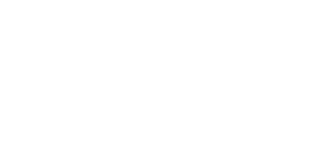 Pf deveci logo bluecher 1